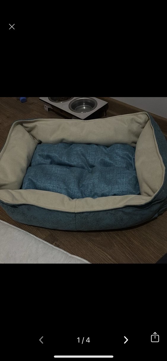 Kedi yatağı - Görsel 4