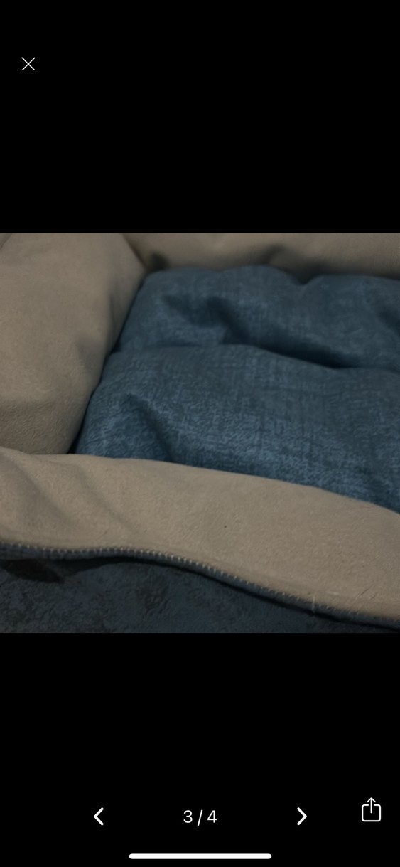 Kedi yatağı - Görsel 2