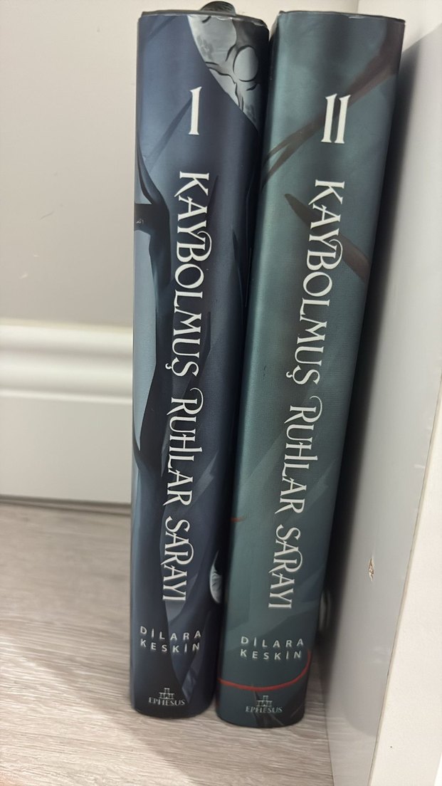 Kaybolmuş Ruhlar Sarayı 2 Cilt Dilara Keskin - Görsel 2