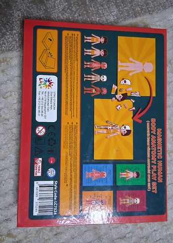 Manyetik İnsan Anatomisi Eğitici Oyuncak - Görsel 2