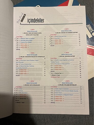  Beden Renk Bilgi Sarmal 11. sınıf