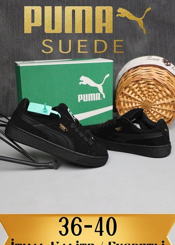 puma Sude