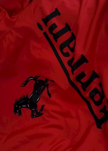 Erkek Kırmızı Ferrari Fermuarlı Yağmurluk - Görsel 3