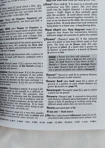 Oxford Wordpower Dictionary Sözlük - Görsel 9