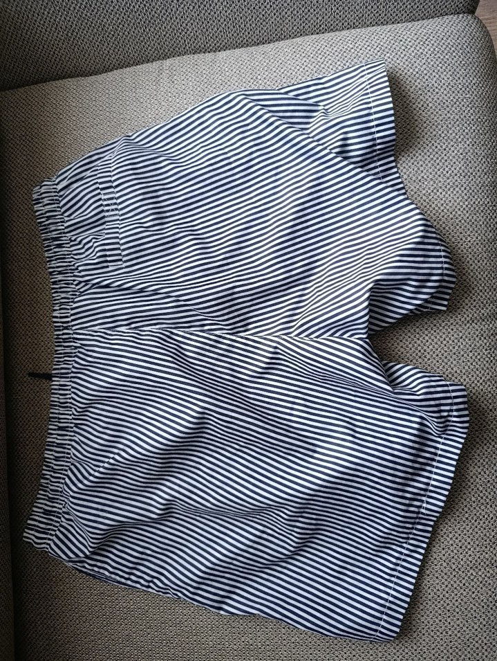 Gri Çizgili Erkek Yüzme Şortu - Görsel 2