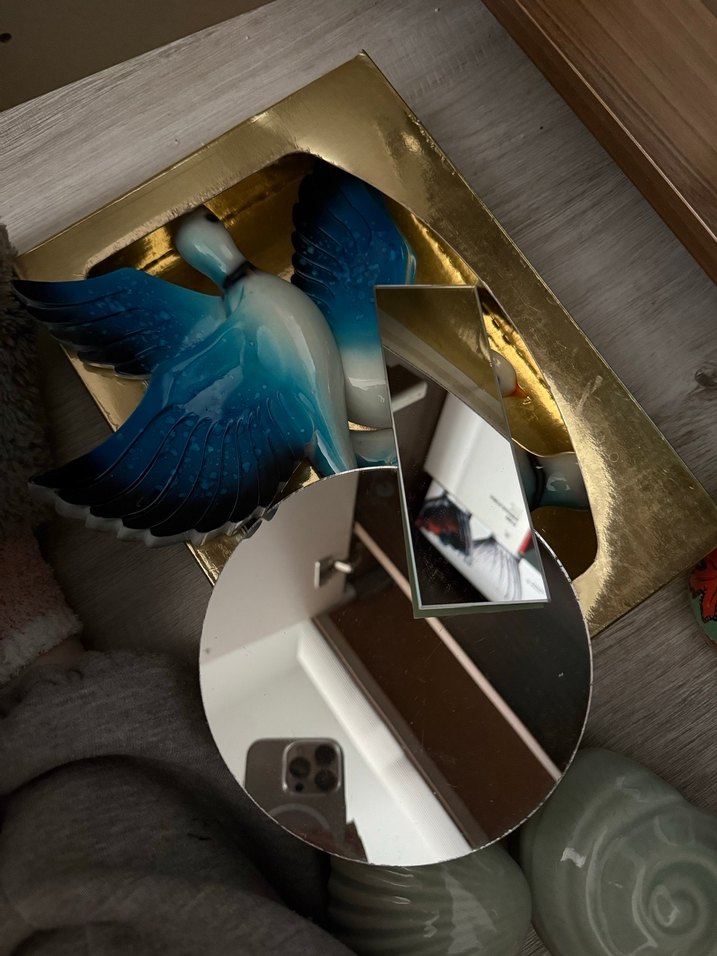 Aynalı Kuş Duvar süsü - Görsel 2