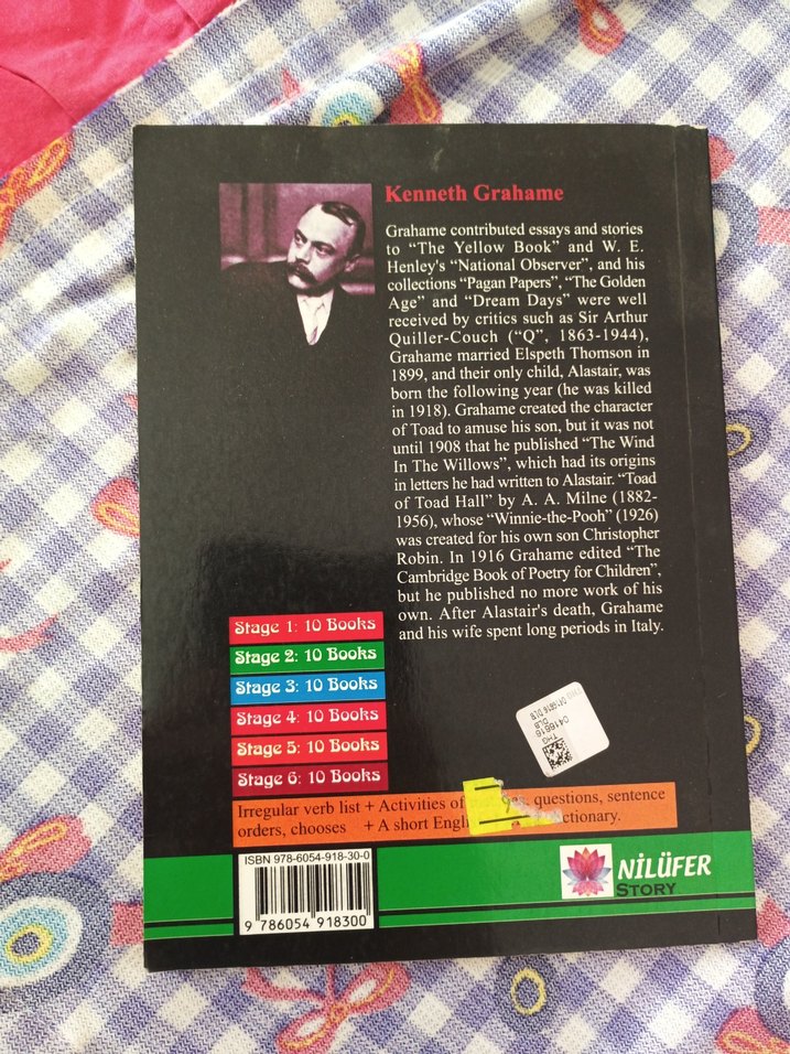 Wind in the Willow - Kenneth Grahame - Görsel 2