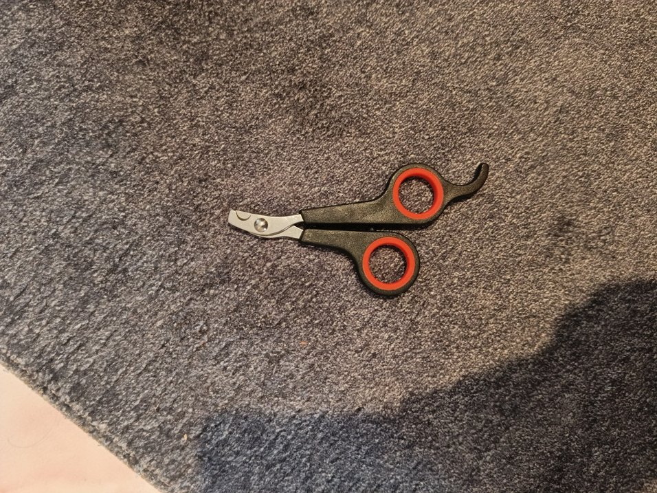 Gri Kedi tarağı ve makası - Görsel 2