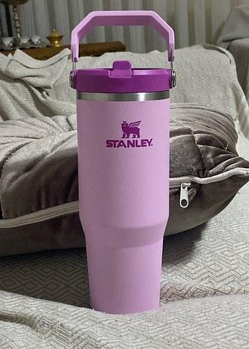 Stanley ice flow termos - Görsel 5