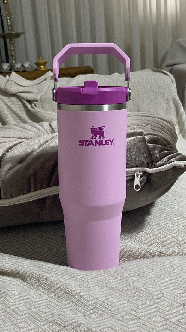 Stanley ice flow termos - Görsel 5