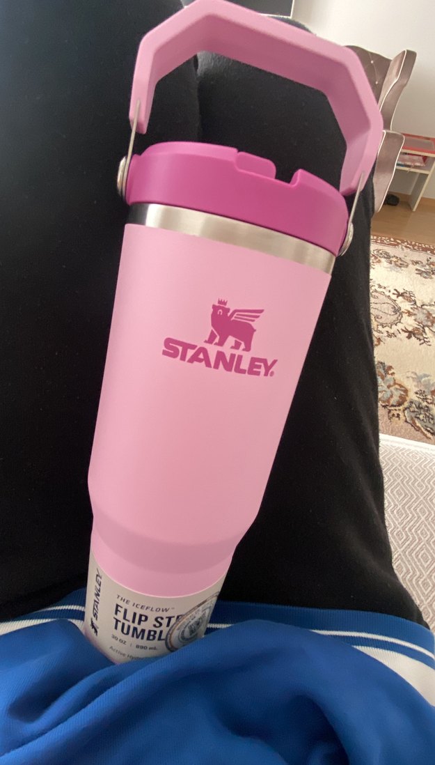 Stanley ice flow termos - Görsel 2