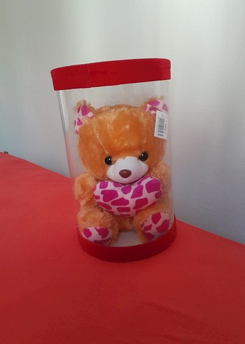 Kalpli Renkli Peluş Ayıcık - Görsel 3