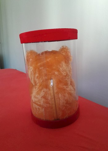 Kalpli Renkli Peluş Ayıcık - Görsel 2