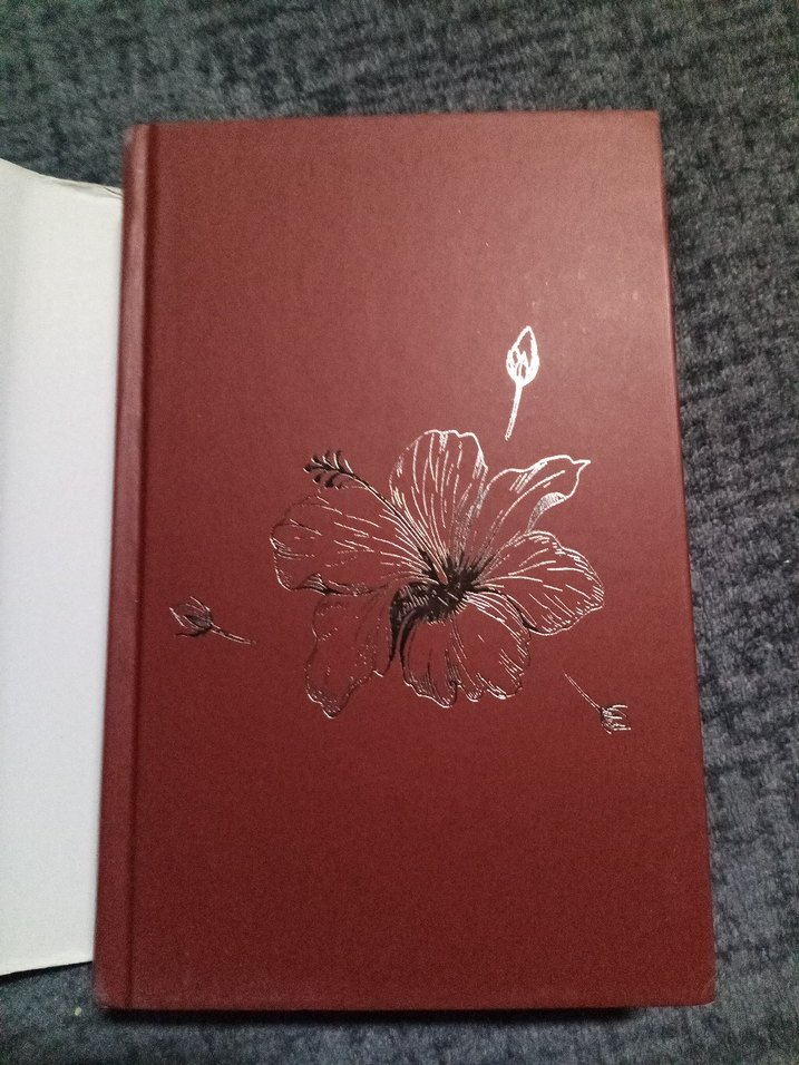 İpek Kopuk Kuklalar - Almina Taner - Görsel 4