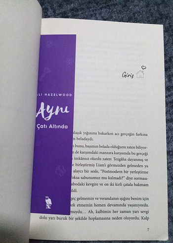Aynı Çatı Altında- Ali Hazelwood - Görsel 3
