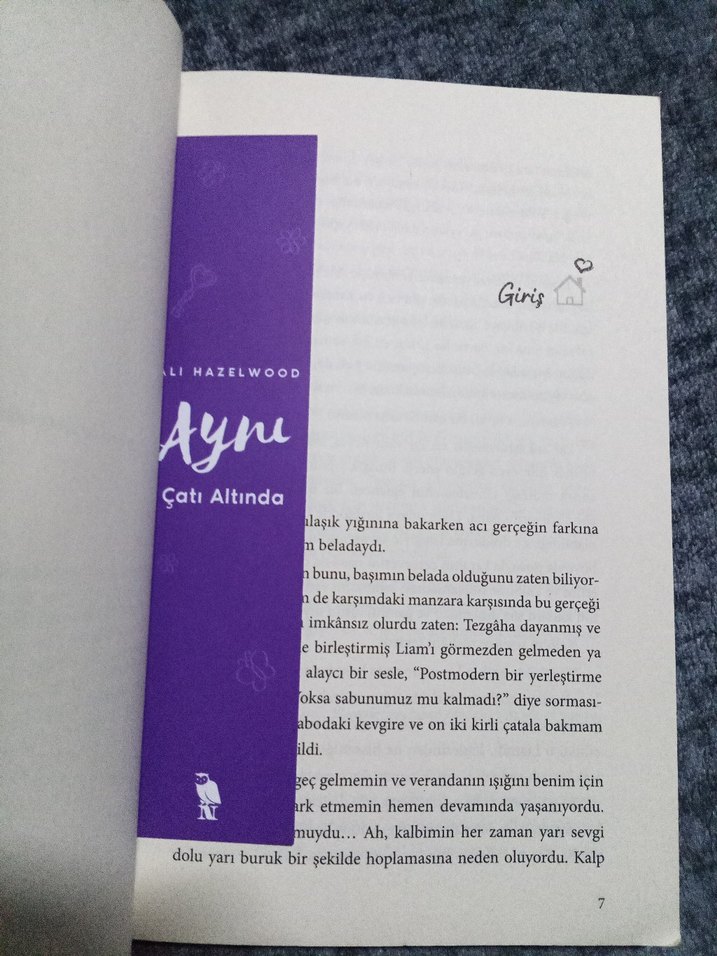 Aynı Çatı Altında- Ali Hazelwood - Görsel 3