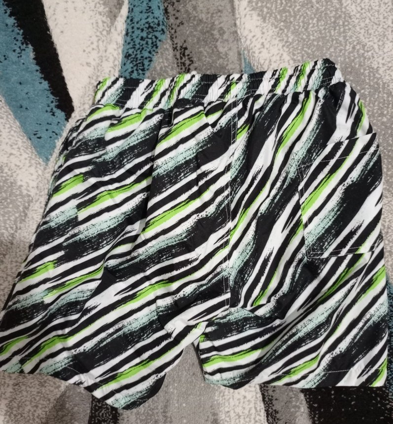 Renkli Zebra Desenli Erkek Mini Şort - Görsel 2