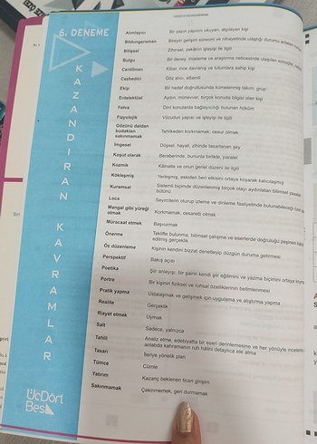 Beden Renk 15 Adet Paragraf Denemesi Sınav Hazırlık Kitabı