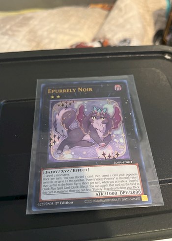 Epurelly Noir