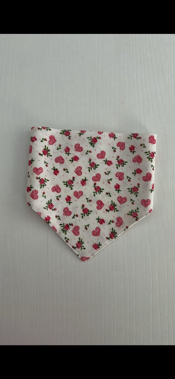 Pastel Beyaz Tavşan Peluş Oyuncak Ve Yakalık - Görsel 3