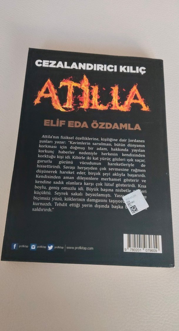 Cezalandırıcı Kılıç Atila - Elif Eda Özdamla - Görsel 2