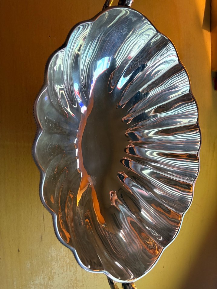 Gumus gorunumlu gondol - Görsel 2