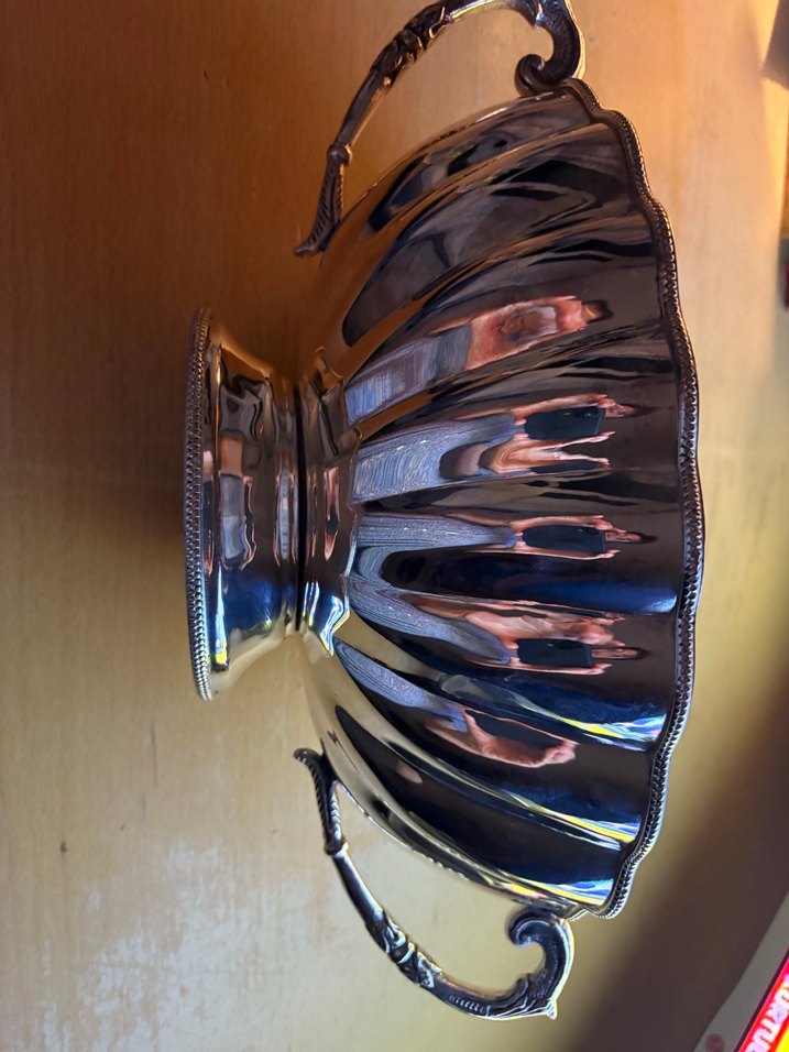 Gumus gorunumlu gondol - Görsel 3