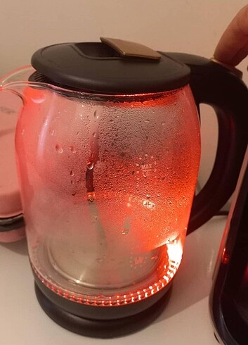 Diğer Heifer kettle ışıklı kettle