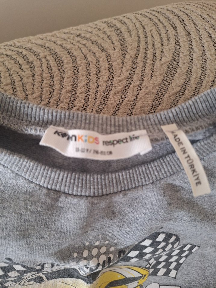 Gri Baskılı Erkek Çocuk Sweatshirt - Görsel 3