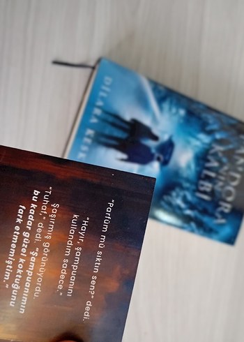 Pandora'nın Kalbi - Dilara K. Roman - Görsel 2