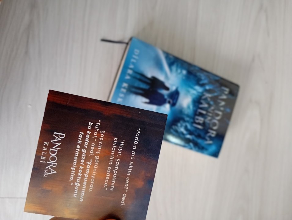 Pandora'nın Kalbi - Dilara K. Roman - Görsel 2