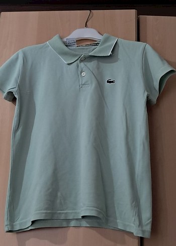 LACOSTE/ 2'li Yeşil-Mavi Polo Yaka T-shirt (13-14 erkek çocuğu)