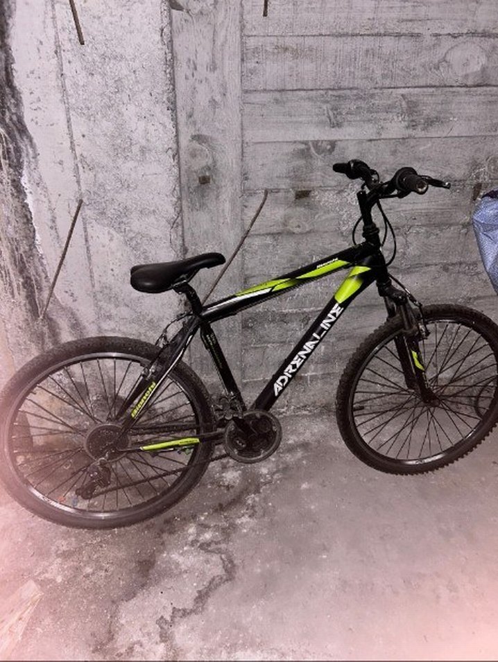 Bianchi bisiklet - Görsel 3