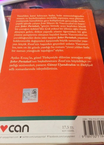 Şeker Portakalı - José Mauro de Vasconcelos - Görsel 3