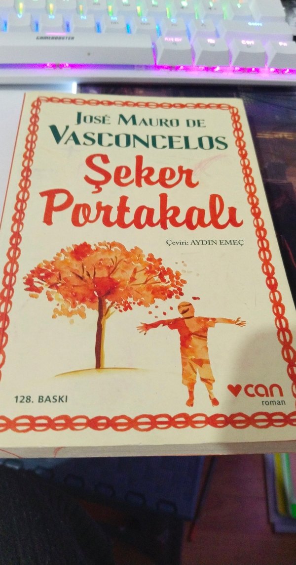Şeker Portakalı - José Mauro de Vasconcelos - Görsel 2