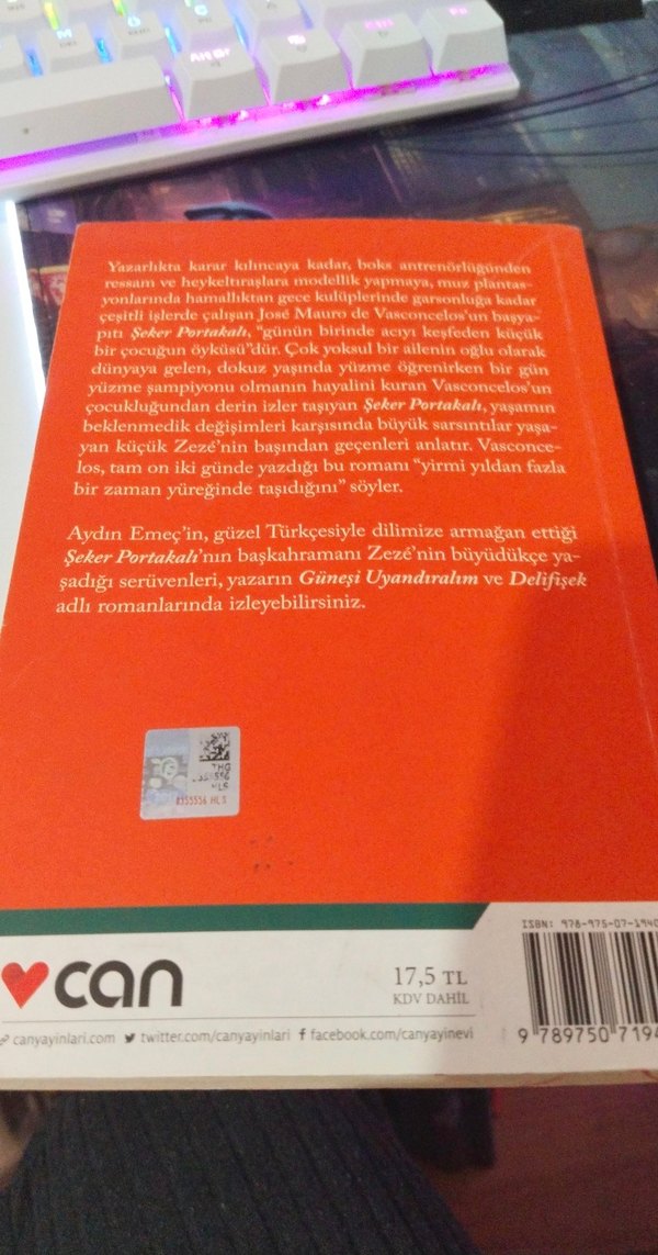 Şeker Portakalı - José Mauro de Vasconcelos - Görsel 3