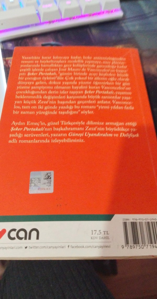 Şeker Portakalı - José Mauro de Vasconcelos - Görsel 4