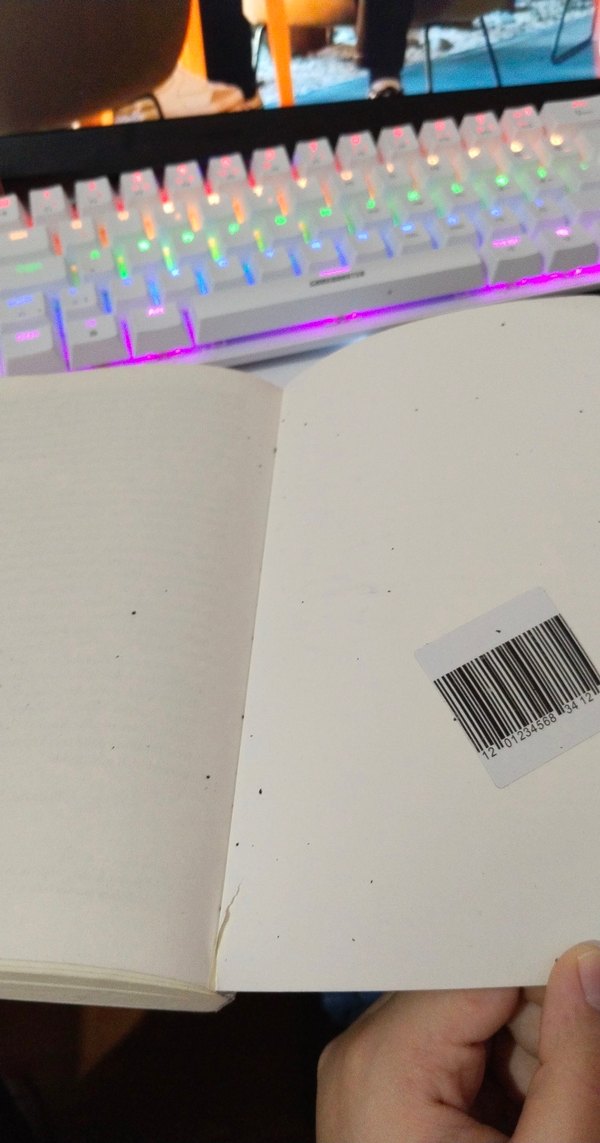 Mehmet Rauf Eylül 
~Türk Edebiyat Klasikleri~ - Görsel 5