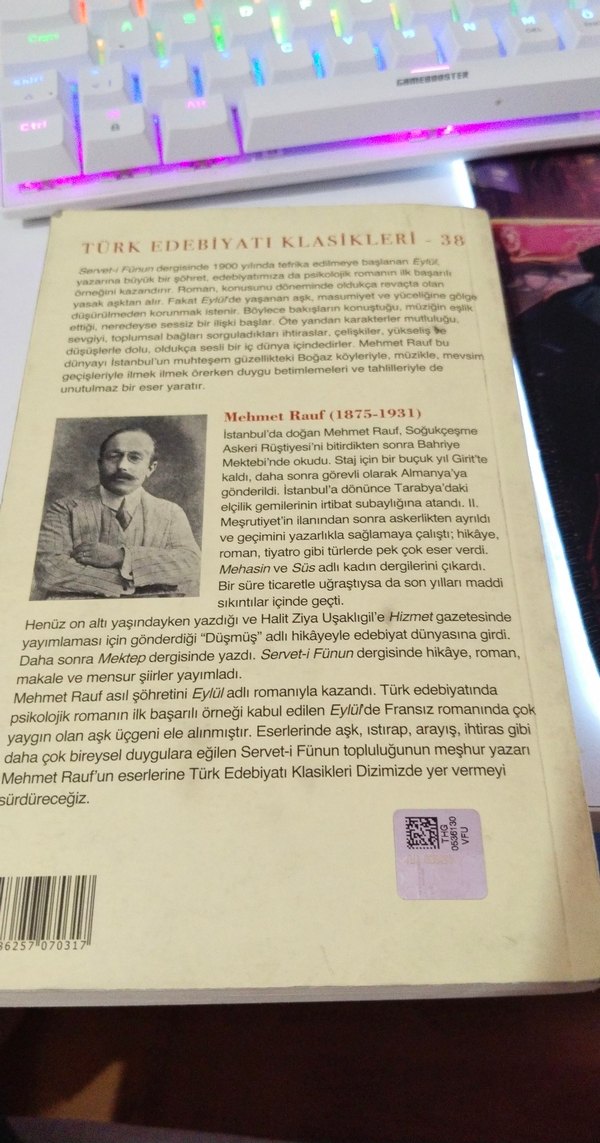 Mehmet Rauf Eylül 
~Türk Edebiyat Klasikleri~ - Görsel 4