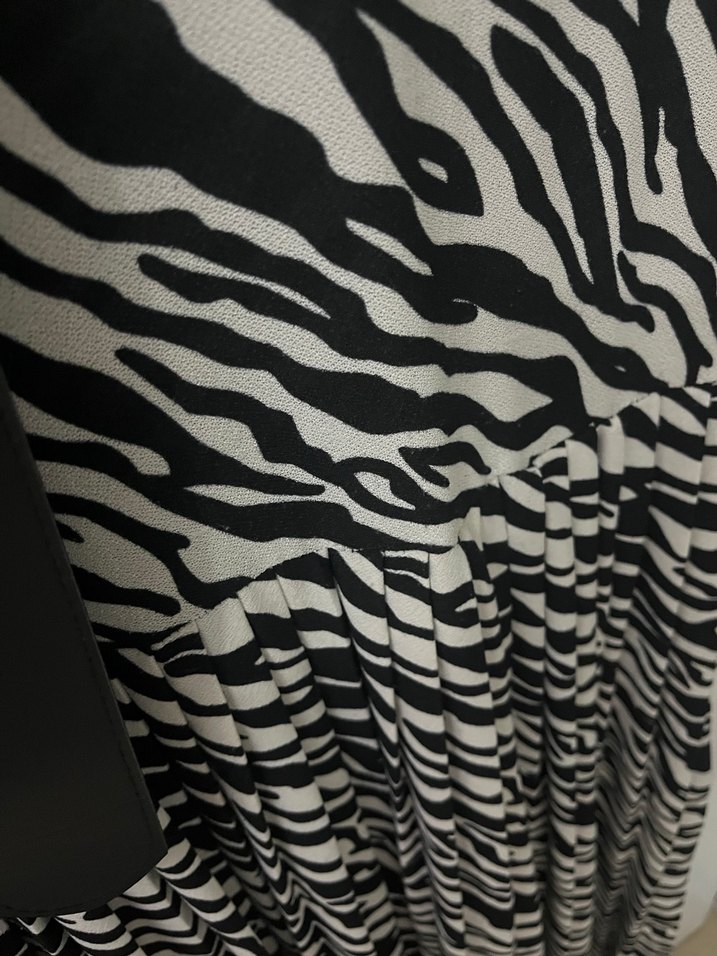 Zebra Desenli Uzun Pilili Kadın Elbise - Görsel 3