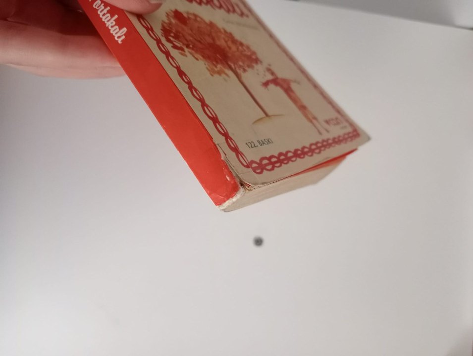 Şeker Portakalı - José Mauro de Vasconcelos - Görsel 4