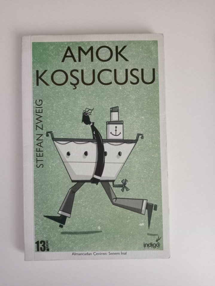 Stefan Zweig 4 kitabı set - Görsel 2