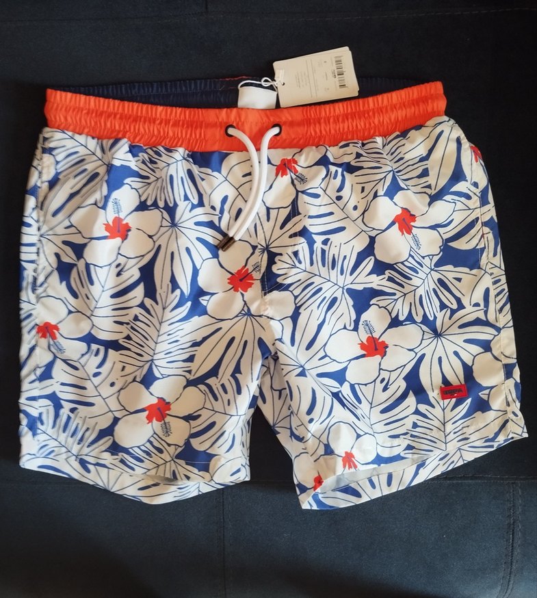 USPA Erkek Deniz Şortu - Görsel 2