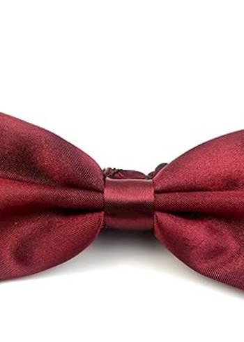 Bordo Parlak Düz Erkek Papyon - Görsel 2