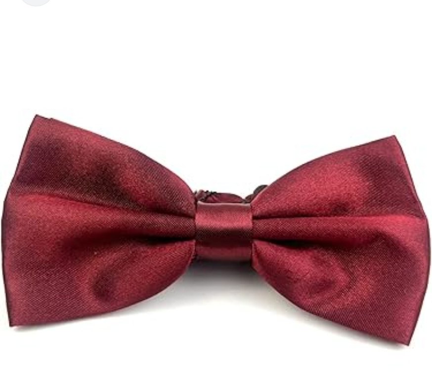 Bordo Parlak Düz Erkek Papyon - Görsel 2