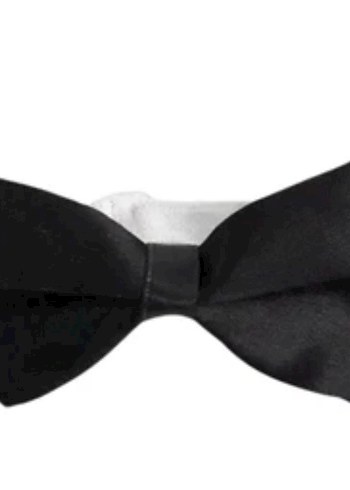 Klasik Siyah Erkek Papyon - Görsel 3