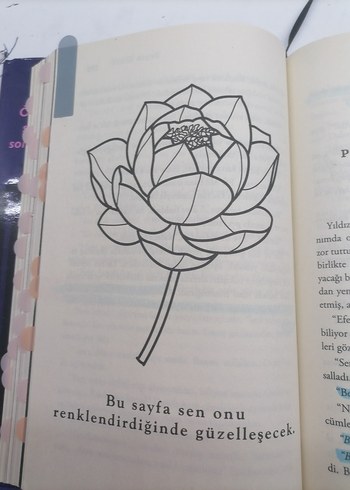 Daire 7 ve No.26 Set - Görsel 6