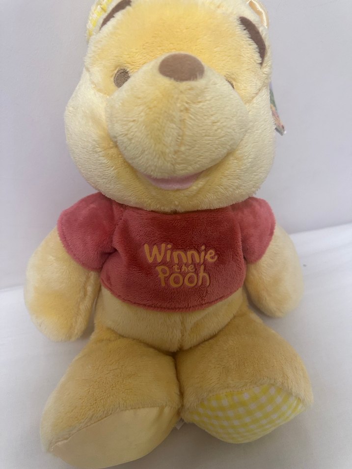 Disney  Winnie the Pooh Peluş Oyuncak - Görsel 5