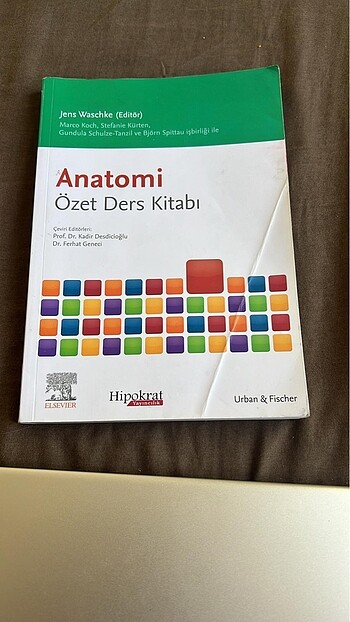 Anatomi özet ders kitabı