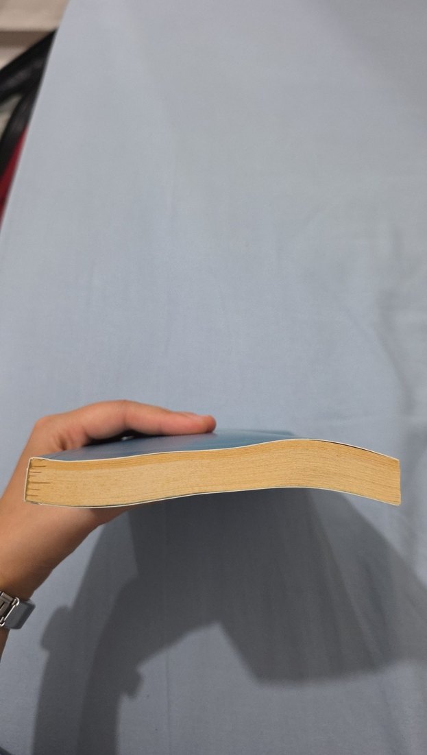 Hz. Peygamber ve Güven Toplumu - Görsel 4